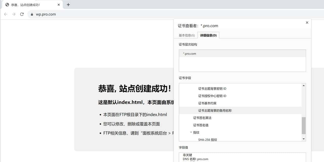 内网使用自签名证书 浏览也可以“安全”