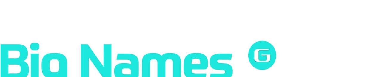 雷军：辅助驾驶不是自动驾驶；继续干！传库克明年不退休；Altman：谷歌复苏，OpenAI进入艰难时刻