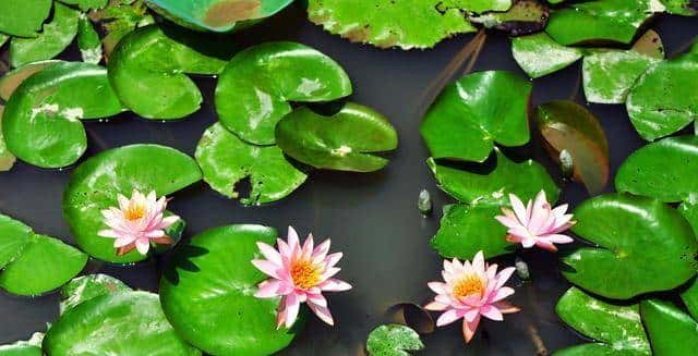 世界上只有广东才有的全球独一无二的10大奇景,您看过几个?