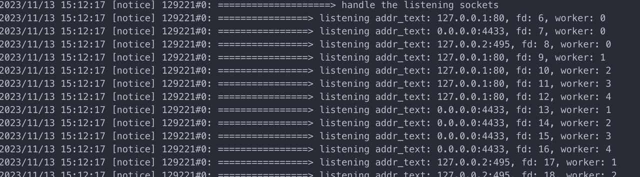 Nginx 多 worker 预监听端口时 reload 过慢