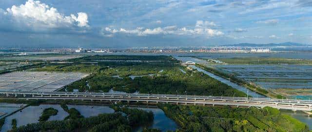 世界上只有广东才有的全球独一无二的10大奇景,您看过几个?