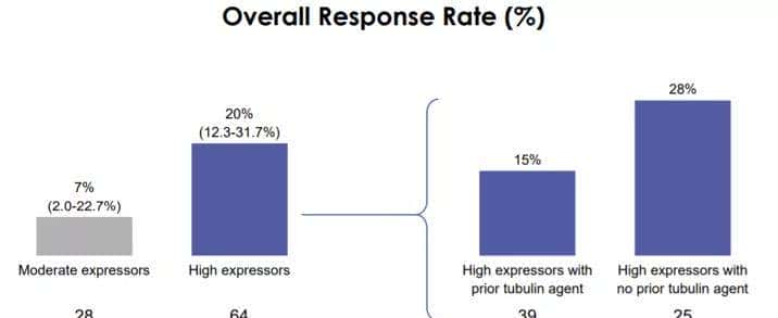 ADC烽烟四起，III期临床群雄逐鹿（上篇）