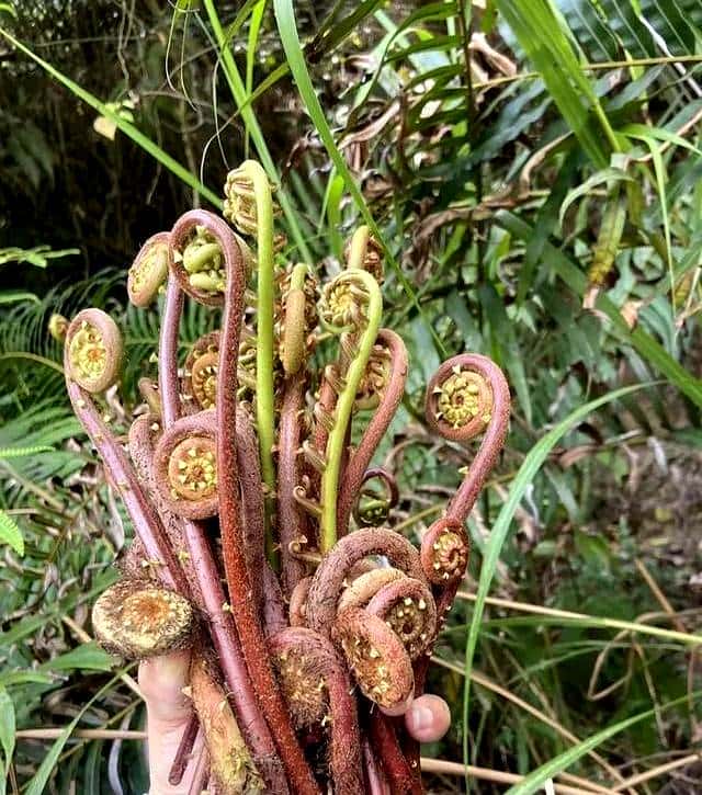 抓住春天的尾巴，享受打野的快乐。