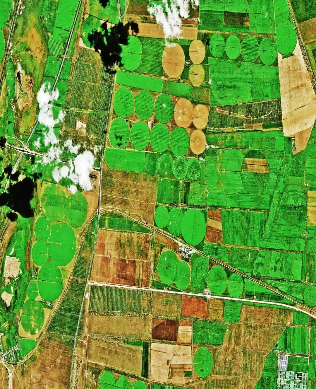 今天只有一个颜色。