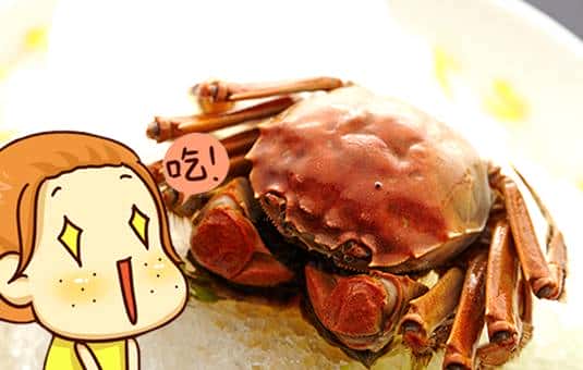 上海闲话之崇明方言来啦！看看你能听懂多少？