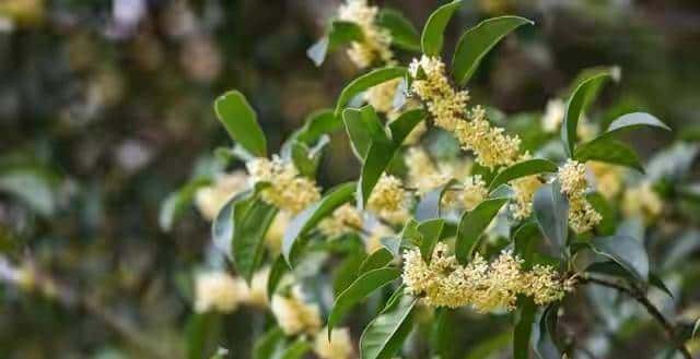 敢信“时来运转”，才是好运的启动键