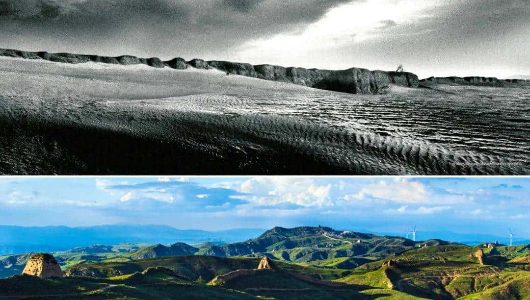 今天只有一个颜色。