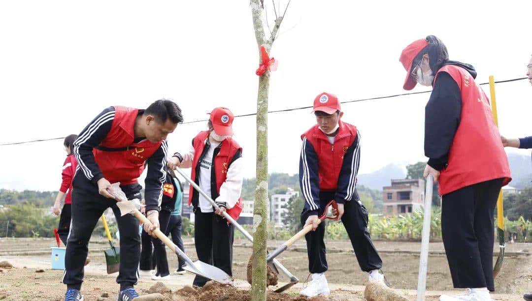 今天只有一个颜色。