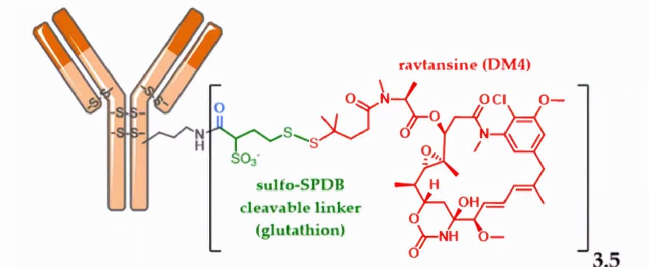 ADC烽烟四起，III期临床群雄逐鹿（上篇）