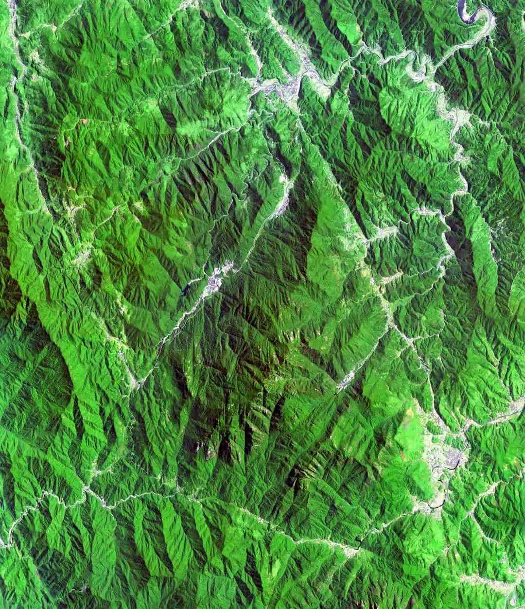 今天只有一个颜色。