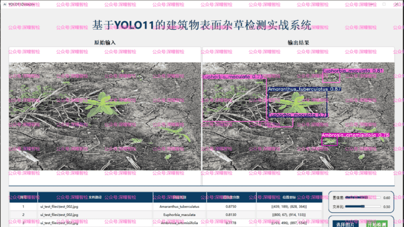 YOLO11实战 第066期-基于yolo11的建筑物表面杂草检测实战-数据集&源码&系统