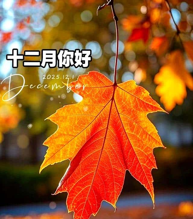 ²⁰²⁵₁₂.₁ 你好十二月，朋友圈必定要这样发，爆赞