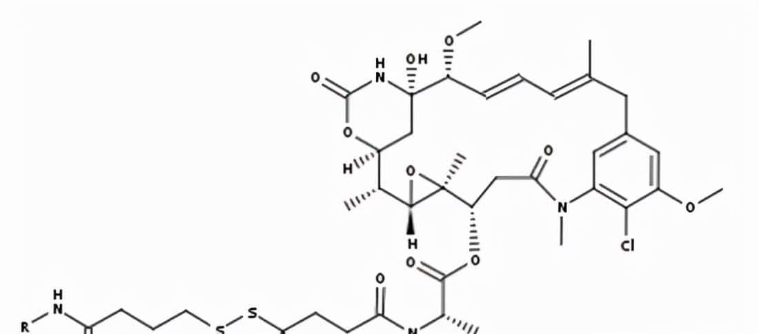 ADC烽烟四起，III期临床群雄逐鹿（上篇）