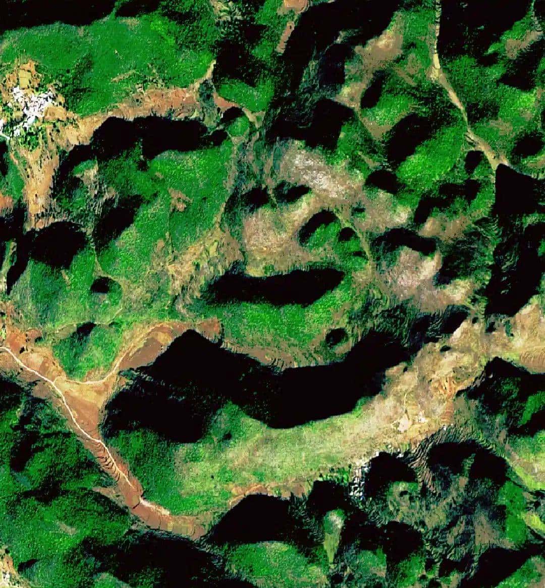 今天只有一个颜色。