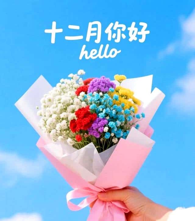 ²⁰²⁵₁₂.₁ 你好十二月，朋友圈必定要这样发，爆赞