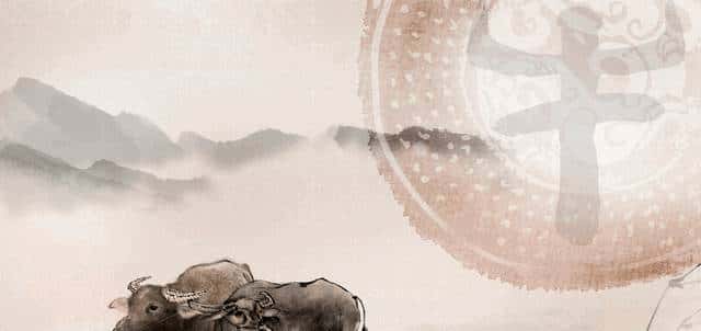 85年属牛的2026年厚积薄发?真相:40岁后才是真逆袭!