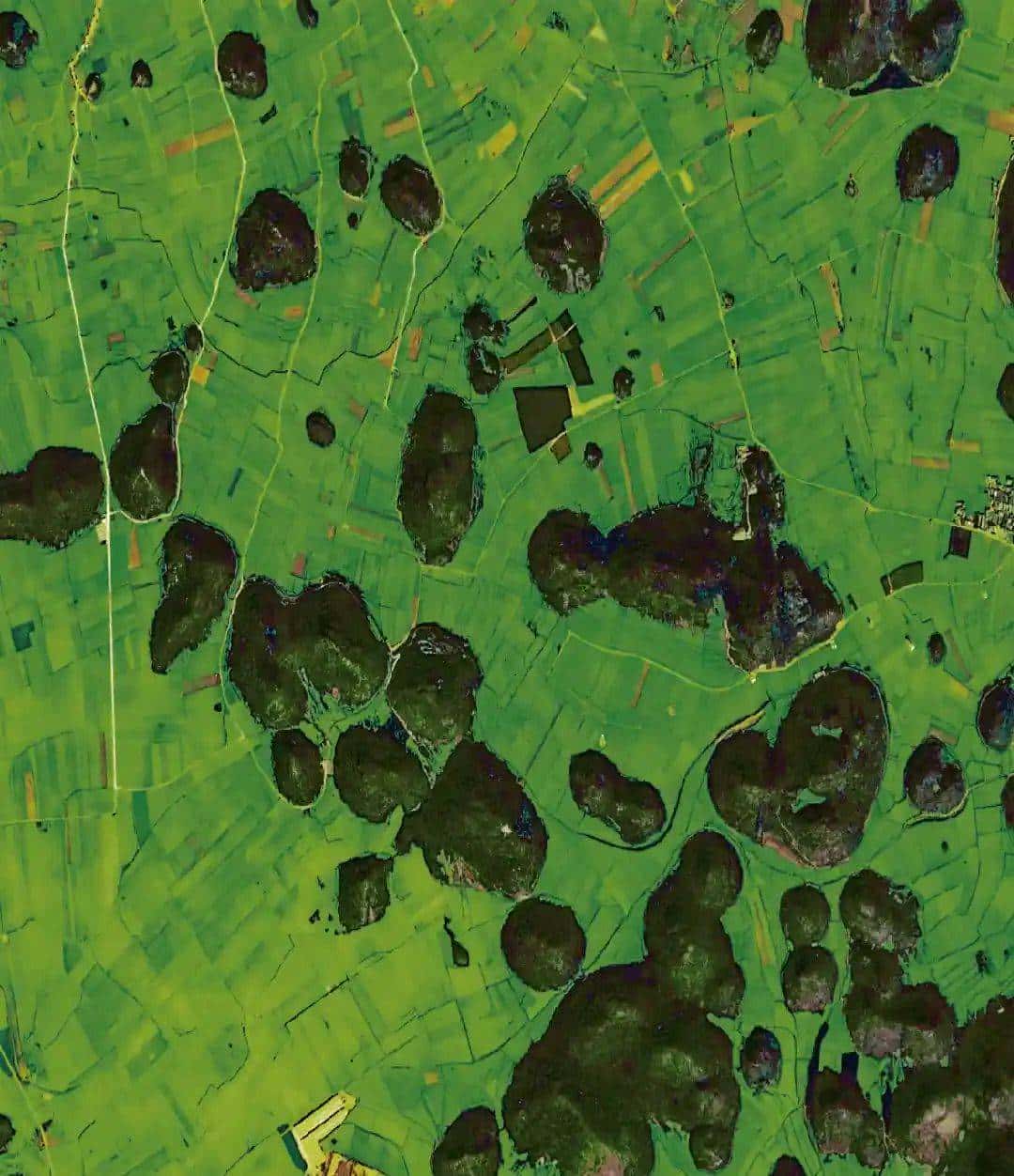 今天只有一个颜色。