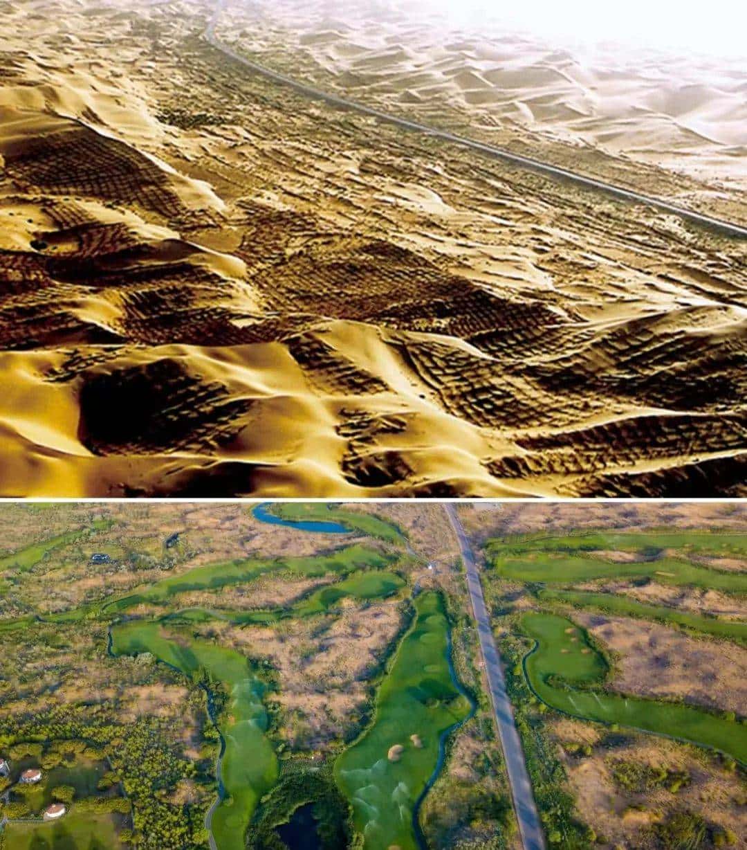 今天只有一个颜色。