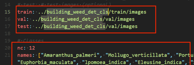 YOLO11实战 第066期-基于yolo11的建筑物表面杂草检测实战-数据集&源码&系统