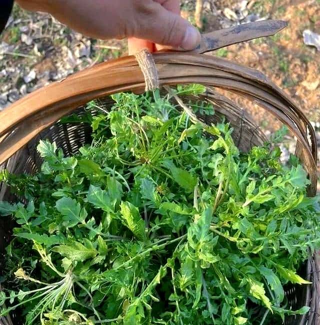 抓住春天的尾巴，享受打野的快乐。