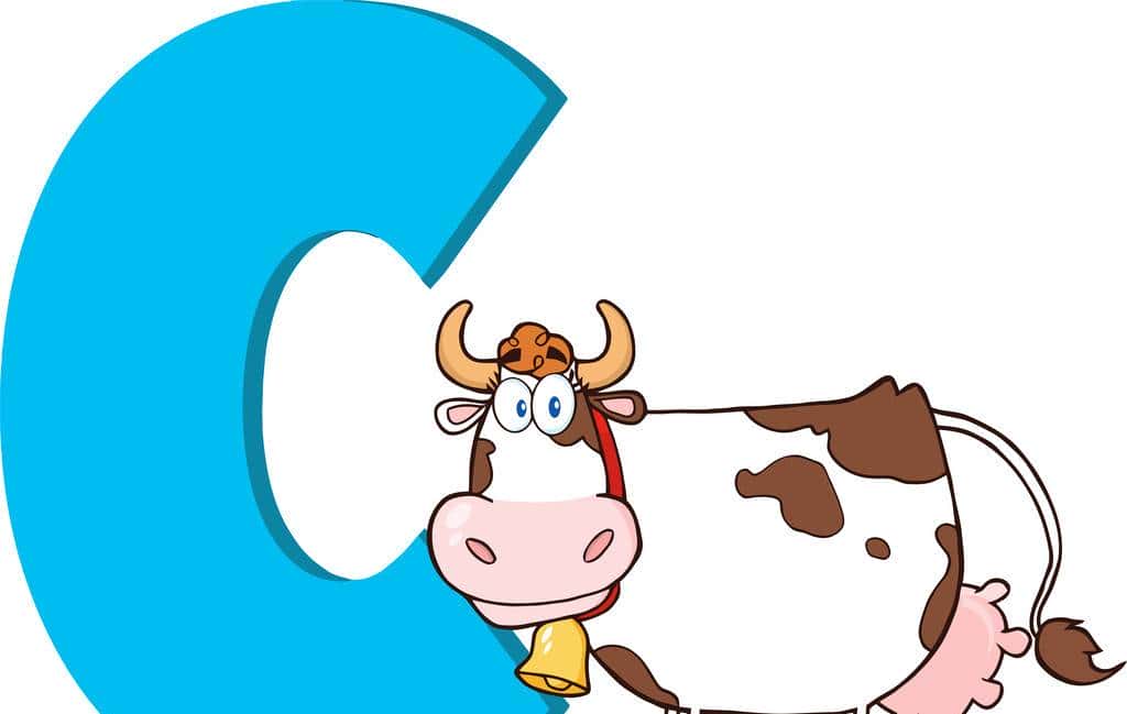 计算机是如何存储小数的？在C语言编程中，应该注意什么？