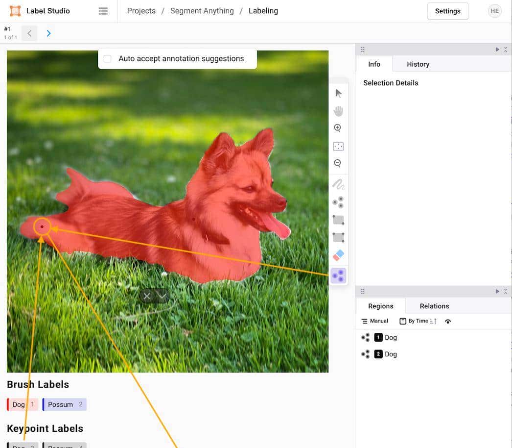 使用 Label Studio+SAM 对图像进行自动分割、打标