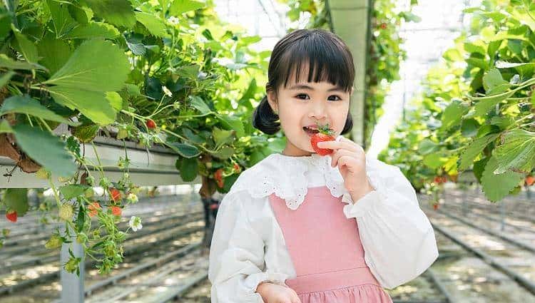 美国的农家乐都搞点啥？