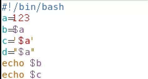 linux中shell变量是如何定义和使用的？