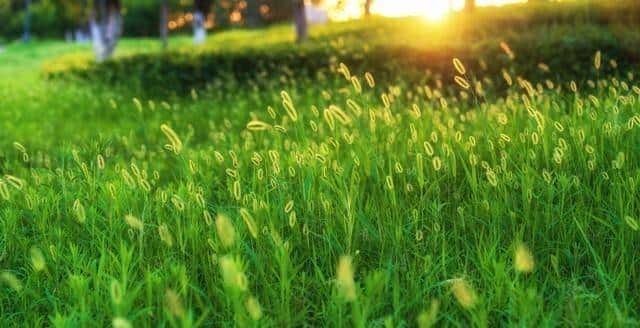 两性关系：你知道女人最抵抗不了男人什么吗：99%的人都不知道