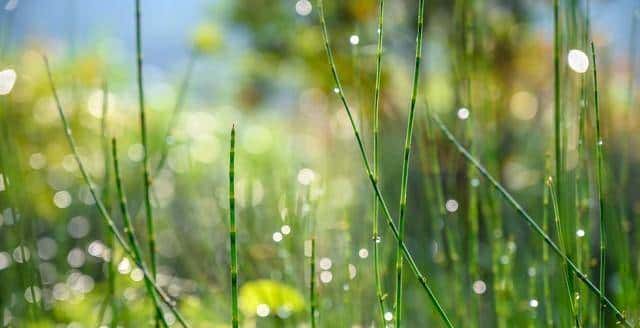 两性关系：你知道女人最抵抗不了男人什么吗：99%的人都不知道