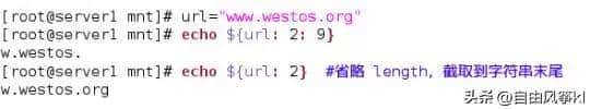学习shell第三天——字符串