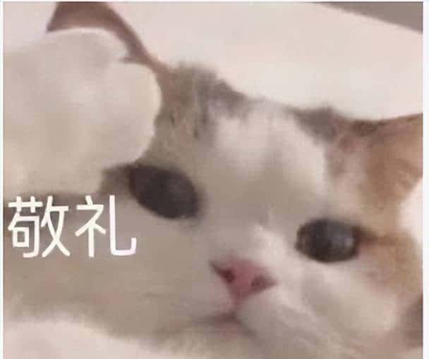 pytest测试框架的基本使用与介绍