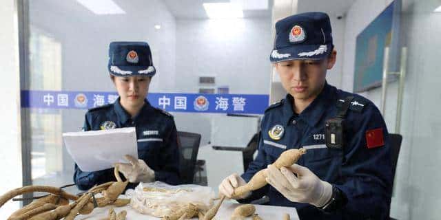 未经批准！珠海男子带锄头登无人岛，被抓后现场查获“牛大力”