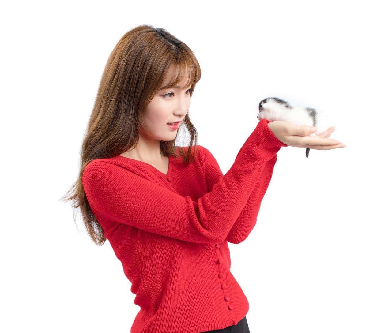 Python自动化办公应用学习笔记35—异常的处理