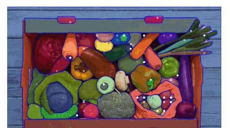 Meta发布 Segment Anything:致力于图像分割的第一个基础模型