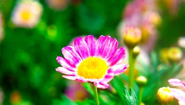 切记，无论多爱，都不要追问男人这些问题