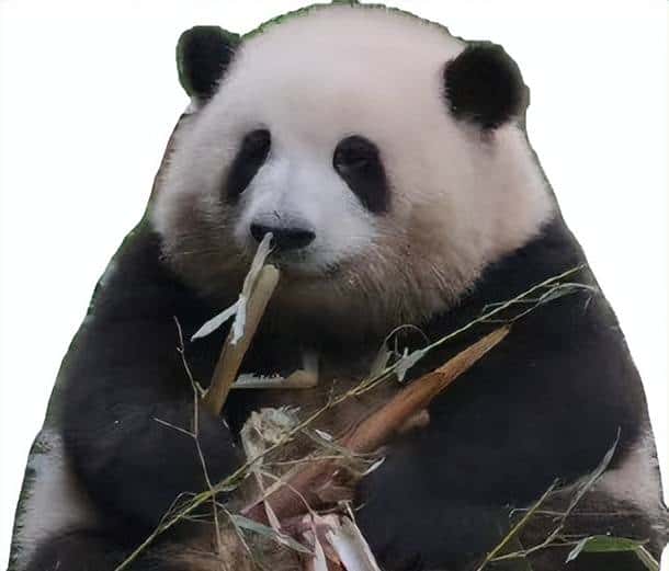 Prompt一键抠图！Meta发布首个图像分割基础模型，开创CV新范式