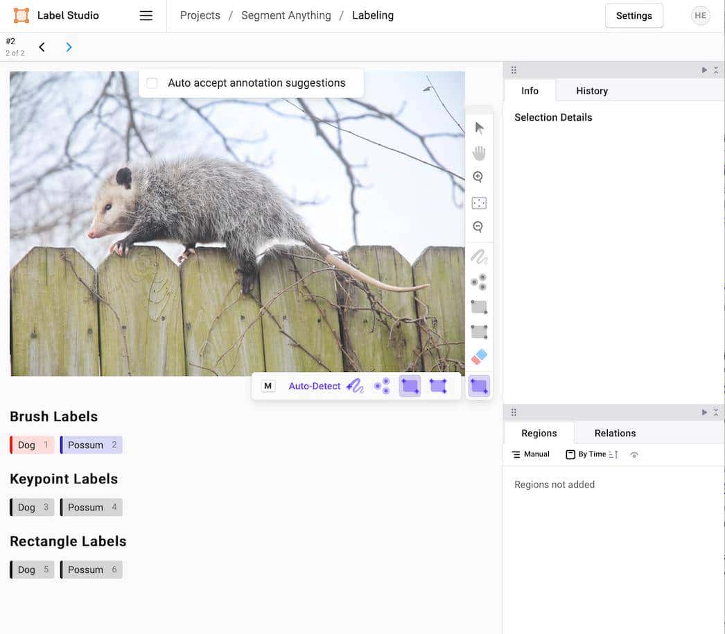 使用 Label Studio+SAM 对图像进行自动分割、打标