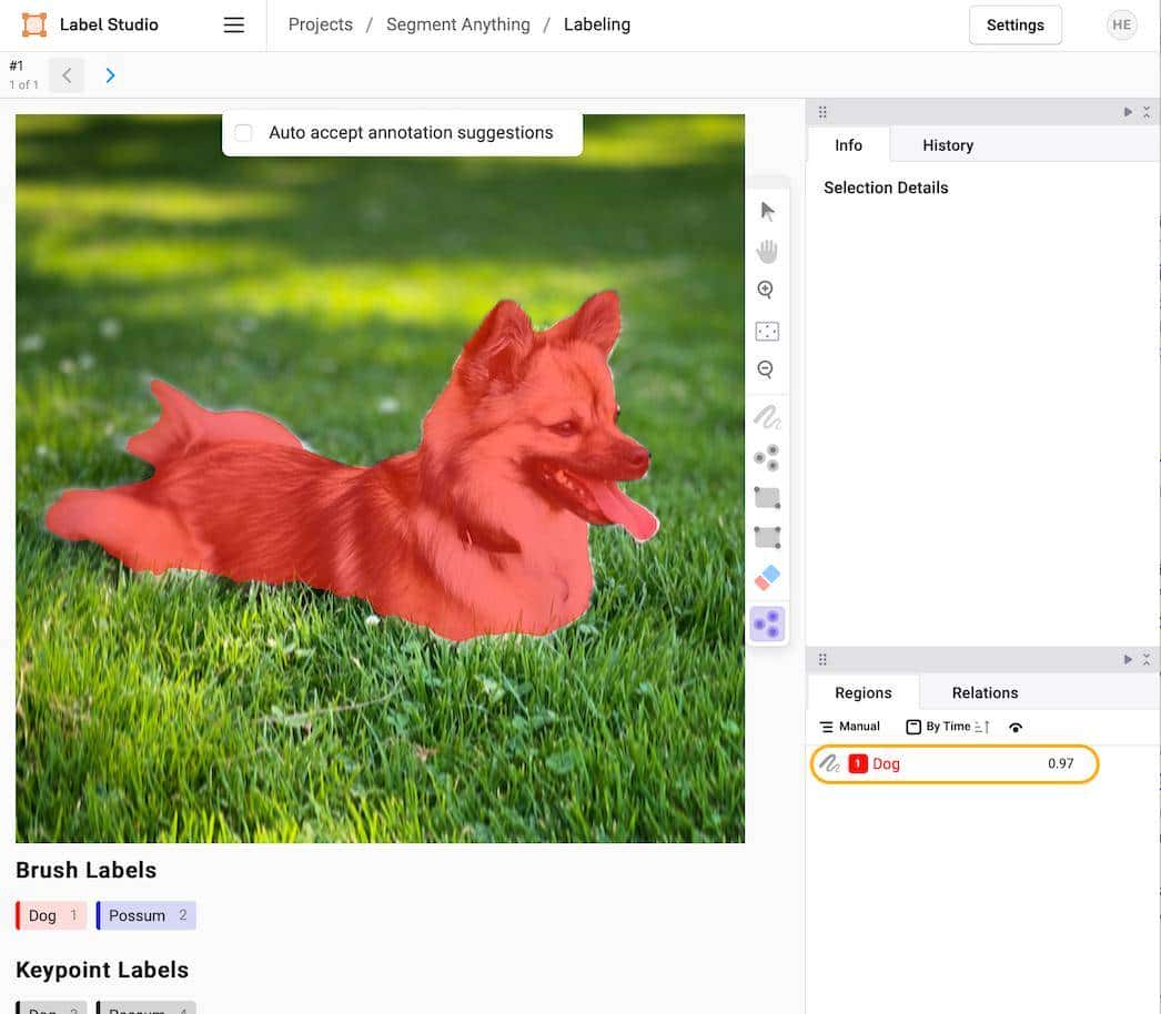使用 Label Studio+SAM 对图像进行自动分割、打标