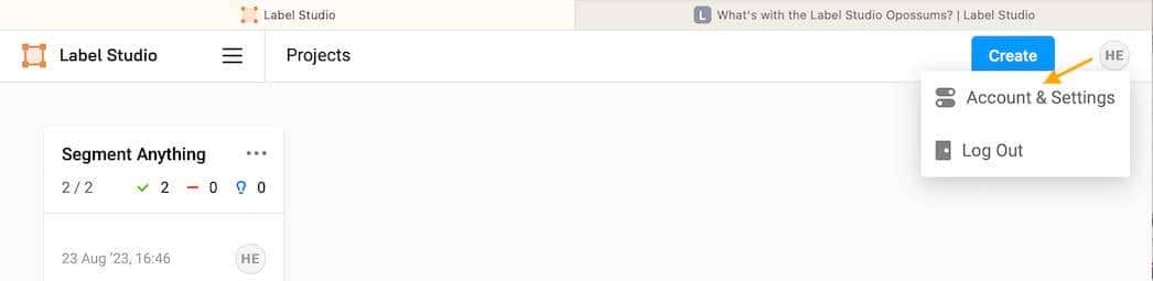 使用 Label Studio+SAM 对图像进行自动分割、打标