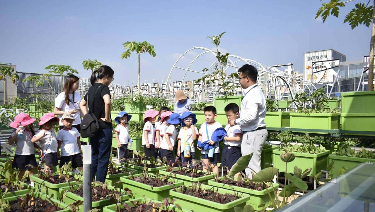 美国的农家乐都搞点啥？