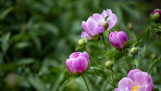 切记，无论多爱，都不要追问男人这些问题