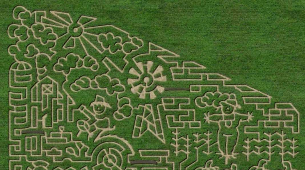 美国的农家乐都搞点啥？