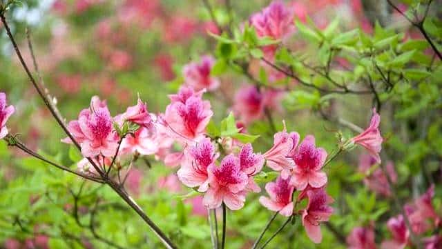 切记，无论多爱，都不要追问男人这些问题