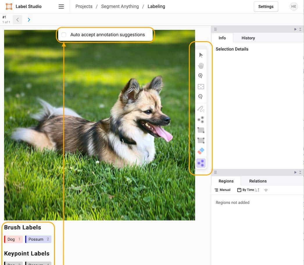 使用 Label Studio+SAM 对图像进行自动分割、打标