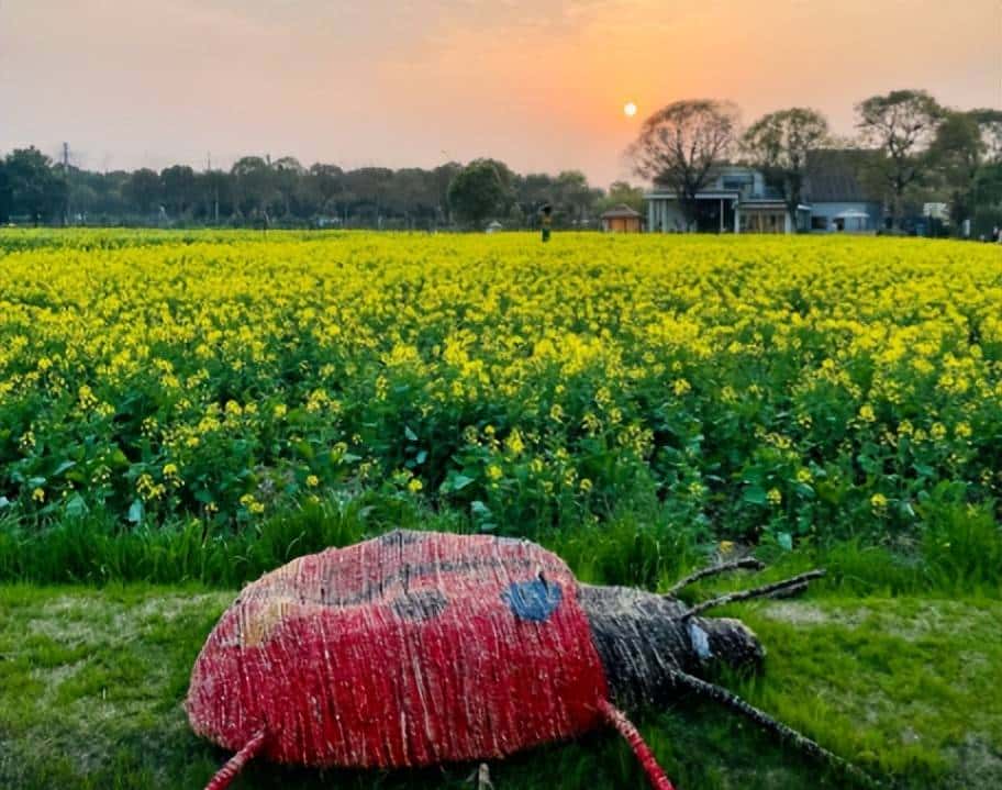 美国的农家乐都搞点啥？