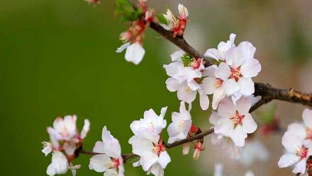 切记，无论多爱，都不要追问男人这些问题