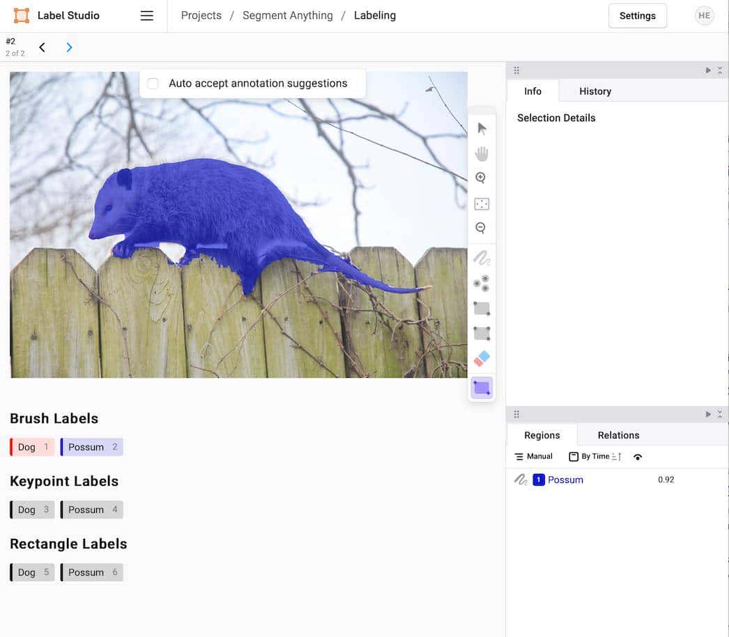 使用 Label Studio+SAM 对图像进行自动分割、打标