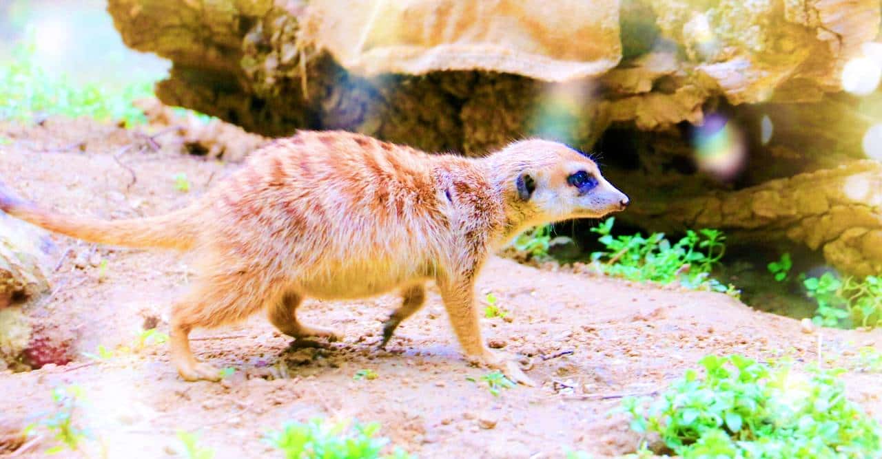 美国的农家乐都搞点啥？