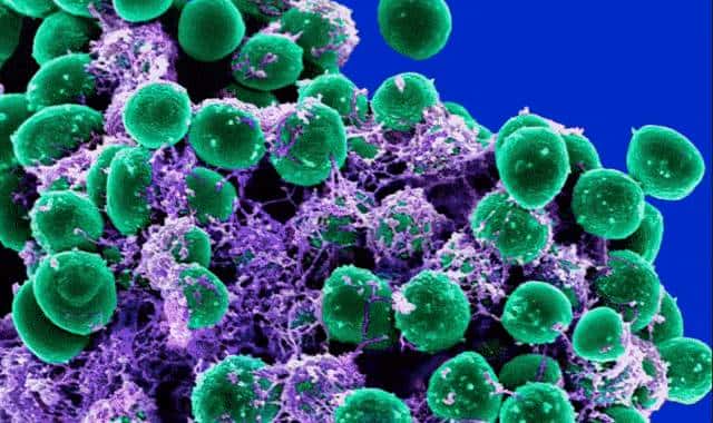 Prompt一键抠图！Meta发布首个图像分割基础模型，开创CV新范式